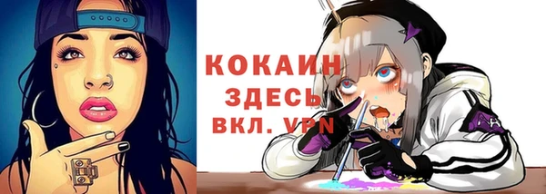 ешки Володарск
