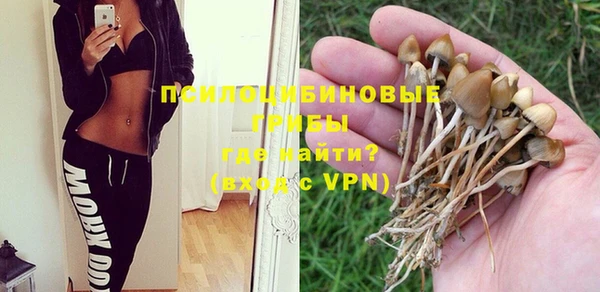 не бодяженный Волоколамск