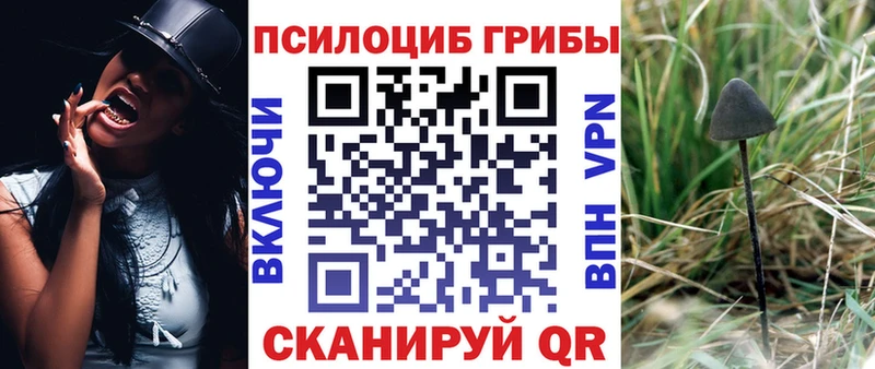 Псилоцибиновые грибы ЛСД  Купить закладки  Красный Холм 