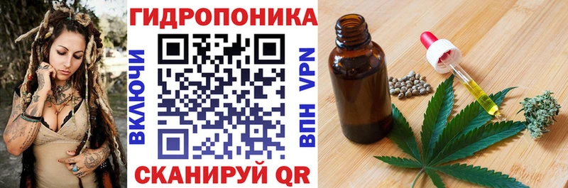Бошки Шишки конопля  Купить закладки  Красный Холм 